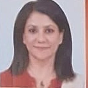 আনন্দময়ী মা